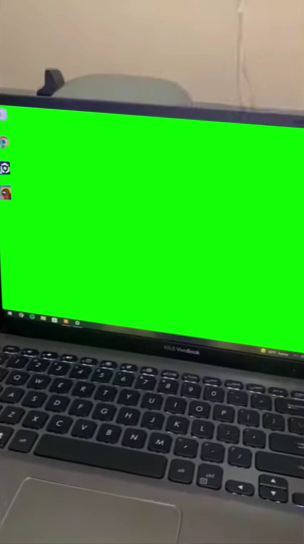 Wallpaper Bug Meme Template (Green Screen)