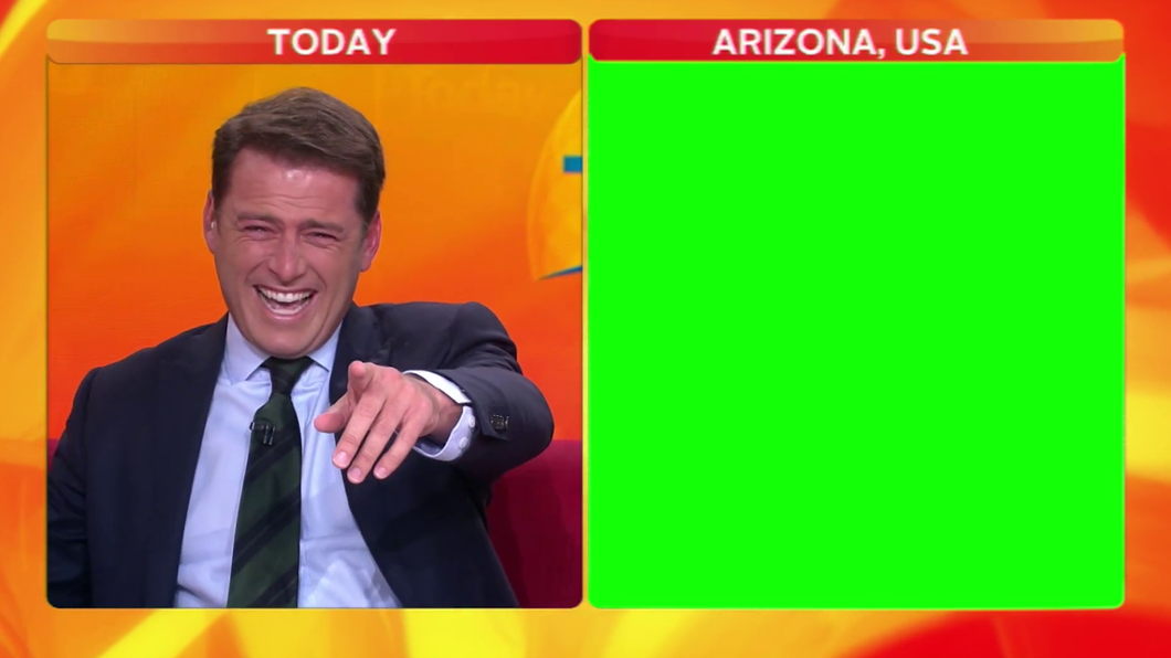 Reporter Can't Stop Laughing at Grumpy Cat (Green Screen)