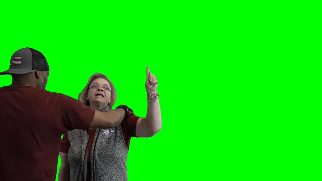 You Are Not Him! - JiDion (Green Screen)